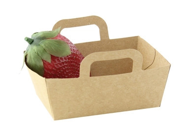 Sample of 210CPANIER