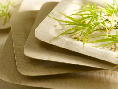 Bamboo Veneer Square Plate - L:9in W:9in H:0.45in - 50 pcs