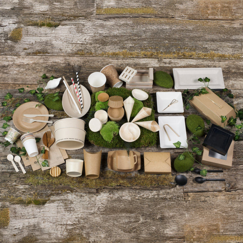 Bio n Chic Rectangular White Sugarcane Plate (No added PFAs) - L:7in W:3.5in H:0.5in - 100 pcs