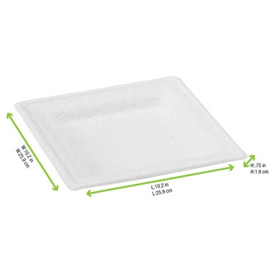 White square sugarcane fibre plate - L:10.24in W:10.24in - 180 pcs