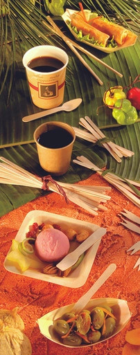 Wooden Ice Cream Spoon Wrapped - L:3.75in - 3000 pcs