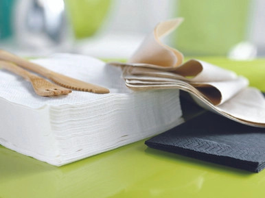 Kraft Tissue Napkin - 11.8x11.8in 2Ply, 1/4Fold - 4000 pcs