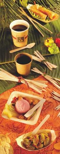 Unwrapped Wooden Ice Cream Spoon - L:3.7in - 3000 pcs