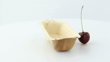 Rectangular Palm Dish - 4oz L:5in W:2.5in H:1.1in - 200 pcs Rectangular Palm Dish - 4oz L:5in W:2.5in H:1.1in - 200 pcs