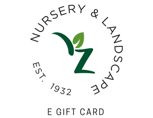 eGift Card