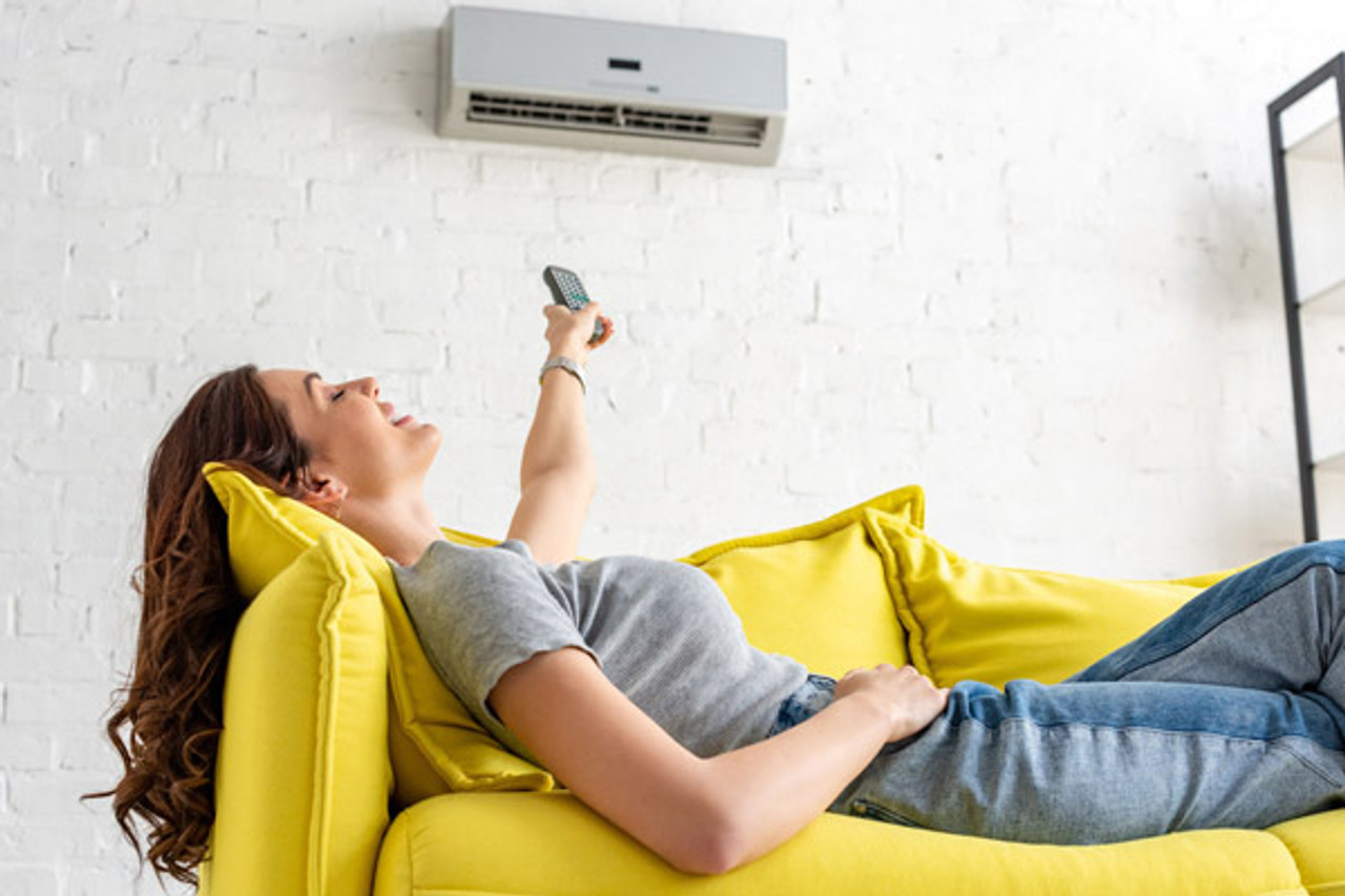 Ductless Mini Splits