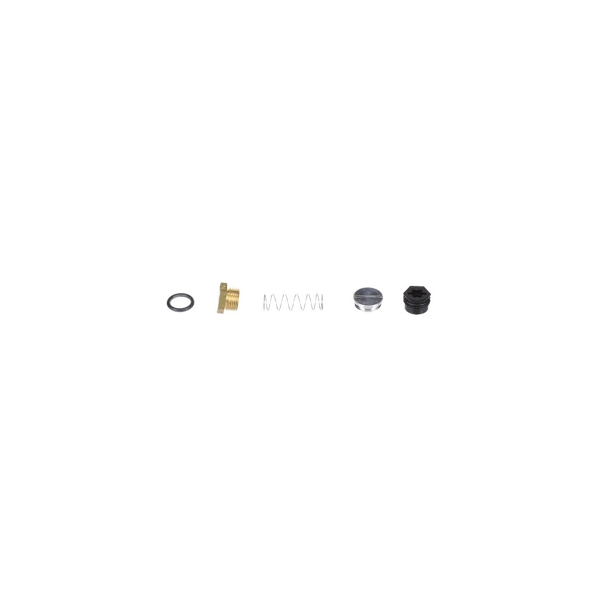 Schwank Conversion Kit PU40 - 40 MBH LP to NG