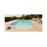 Pool & Spa