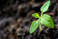 Sustainability and the Rise of Heat Pumps: A Key Player in HVAC’s Future