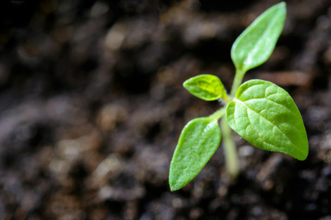Sustainability and the Rise of Heat Pumps: A Key Player in HVAC’s Future