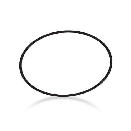 Paramount In-Floor Valve Base O-Ring