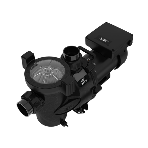 Jandy 1.65 hp Variable Speed Pool Pump without Controller FloPro Series | VSFHP165DV