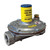 Sunstar 3307260 gas pressure regulator with vent limiter