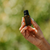 HVAC365 64K Essential Oil - Inspired by W Hotel Aromatherapy for Cold Air Diffusers Hotel Collection | AY200