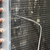 Temperature probe in-use photo.