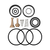 Appion KTG166-R G1Single Compressor Seal Repair Kit with Valves & Springs