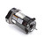Century Centurion Pro Pump Motor 0.8 hp Single-Phase 115/230V 56J Round