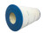 Oncore WPOC Filter Cartridge for Hayward CX900RE