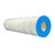 Oncore WPOC Filter Cartridge for Jandy CS250