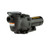 Hayward MaxFlo XL High Efficiency Pump, Single Speed, 1.25 THP, 115/208-230 V, 60 Hz, Single Phase | SP2307X10