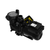 Jandy 1.65 hp Variable Speed Pool Pump with Speedset Controller FloPro Series | VSFHP165DVS