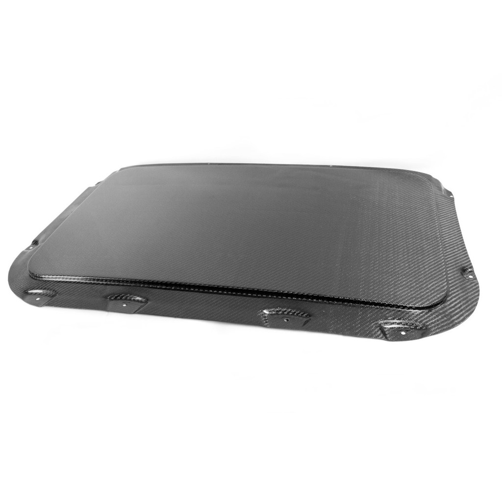 BMW E46 Carbon Fiber Sunroof Delete RHR Performance