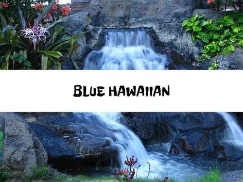 Blue Hawaiian, Bath Gelee, Body Wash, Whipped Soap, Glycerin Soap, Foaming Body Scrub, Sugar Scrub, Aloe Vera Gel, Body Oil, Goat Milk Lotion, Body Butter, Lotion Bar, Natural Vegetable Protein Deodorant, Body Powder, Conditioning Shampoo, Cream Shampoo, Conditioner, Hair Mask, Leave In Detangling Spray, Hair Oil, Argan Shine Serum, Argan Shine Spray, Body Mist, Perfume Oil, Perfume Spray, Solid Perfume, Beard Wash, Beard Oil, Beard Balm, Beard Butter, Shave Soap, Shave Jelly, Aftershave, Room Spray, Linen Spray, Wax Melts, Pet Shampoo, Pet Perfume