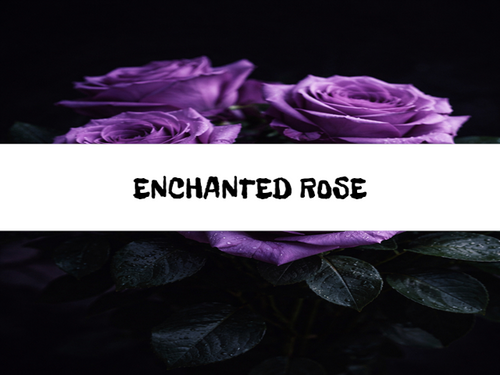 Enchanted Rose, Bath Gelee, Body Wash, Whipped Soap, Glycerin Soap, Foaming Body Scrub, Sugar Scrub, Aloe Vera Gel, Body Oil, Goat Milk Lotion, Body Butter, Lotion Bar, Natural Vegetable Protein Deodorant, Body Powder, Conditioning Shampoo, Cream Shampoo, Conditioner, Hair Mask, Leave In Detangling Spray, Hair Oil, Argan Shine Serum, Argan Shine Spray, Body Mist, Perfume Oil, Perfume Spray, Solid Perfume, Beard Wash, Beard Oil, Beard Balm, Beard Butter, Shave Soap, Shave Jelly, Aftershave, Room Spray, Linen Spray, Wax Melts, Pet Shampoo, Pet Perfume