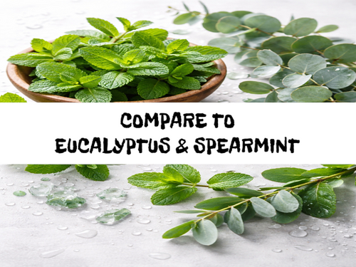 Eucalyptus & Mint, Bath Gelee, Body Wash, Whipped Soap, Glycerin Soap, Foaming Body Scrub, Sugar Scrub, Aloe Vera Gel, Body Oil, Goat Milk Lotion, Body Butter, Lotion Bar, Natural Vegetable Protein Deodorant, Body Powder, Conditioning Shampoo, Cream Shampoo, Conditioner, Hair Mask, Leave In Detangling Spray, Hair Oil, Argan Shine Serum, Argan Shine Spray, Body Mist, Perfume Oil, Perfume Spray, Solid Perfume, Beard Wash, Beard Oil, Beard Balm, Beard Butter, Shave Soap, Shave Jelly, Aftershave, Room Spray, Linen Spray, Wax Melts, Pet Shampoo, Pet Perfume