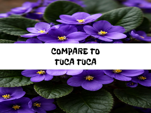 Violet Fantasia, Bath Gelee, Body Wash, Whipped Soap, Glycerin Soap, Foaming Body Scrub, Sugar Scrub, Aloe Vera Gel, Body Oil, Goat Milk Lotion, Body Butter, Lotion Bar, Natural Vegetable Protein Deodorant, Body Powder, Conditioning Shampoo, Cream Shampoo, Conditioner, Hair Mask, Leave In Detangling Spray, Hair Oil, Argan Shine Serum, Argan Shine Spray, Body Mist, Perfume Oil, Perfume Spray, Solid Perfume, Beard Wash, Beard Oil, Beard Balm, Beard Butter, Shave Soap, Shave Jelly, Aftershave, Room Spray, Linen Spray, Wax Melts, Pet Shampoo, Pet Perfume