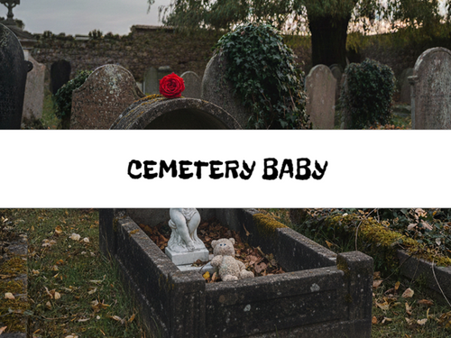 Cemetery Baby, Bath Gelee, Body Wash, Whipped Soap, Glycerin Soap, Foaming Body Scrub, Sugar Scrub, Aloe Vera Gel, Body Oil, Goat Milk Lotion, Body Butter, Lotion Bar, Natural Vegetable Protein Deodorant, Body Powder, Conditioning Shampoo, Cream Shampoo, Conditioner, Hair Mask, Leave In Detangling Spray, Hair Oil, Argan Shine Serum, Argan Shine Spray, Body Mist, Perfume Oil, Perfume Spray, Solid Perfume, Beard Wash, Beard Oil, Beard Balm, Beard Butter, Shave Soap, Shave Jelly, Aftershave, Room Spray, Linen Spray, Wax Melts, Pet Shampoo, Pet Perfume