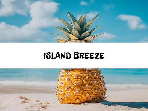 Island Breeze, Bath Gelee, Body Wash, Whipped Soap, Glycerin Soap, Foaming Body Scrub, Sugar Scrub, Aloe Vera Gel, Body Oil, Goat Milk Lotion, Body Butter, Lotion Bar, Natural Vegetable Protein Deodorant, Body Powder, Conditioning Shampoo, Cream Shampoo, Conditioner, Hair Mask, Leave In Detangling Spray, Hair Oil, Argan Shine Serum, Argan Shine Spray, Body Mist, Perfume Oil, Perfume Spray, Solid Perfume, Beard Wash, Beard Oil, Beard Balm, Beard Butter, Shave Soap, Shave Jelly, Aftershave, Room Spray, Linen Spray, Wax Melts, Pet Shampoo, Pet Perfume