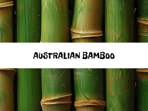 Australian Bamboo, Bath Gelee, Body Wash, Whipped Soap, Glycerin Soap, Foaming Body Scrub, Sugar Scrub, Aloe Vera Gel, Body Oil, Goat Milk Lotion, Body Butter, Lotion Bar, Natural Vegetable Protein Deodorant, Body Powder, Conditioning Shampoo, Cream Shampoo, Conditioner, Hair Mask, Leave In Detangling Spray, Hair Oil, Argan Shine Serum, Argan Shine Spray, Body Mist, Perfume Oil, Perfume Spray, Solid Perfume, Beard Wash, Beard Oil, Beard Balm, Beard Butter, Shave Soap, Shave Jelly, Aftershave, Room Spray, Linen Spray, Wax Melts, Pet Shampoo, Pet Perfume