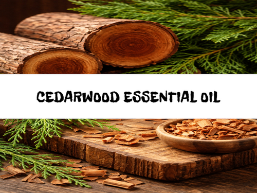 Cedarwood, Bath Gelee, Body Wash, Whipped Soap, Glycerin Soap, Foaming Body Scrub, Sugar Scrub, Aloe Vera Gel, Body Oil, Goat Milk Lotion, Body Butter, Lotion Bar, Natural Vegetable Protein Deodorant, Body Powder, Conditioning Shampoo, Cream Shampoo, Conditioner, Hair Mask, Leave In Detangling Spray, Hair Oil, Argan Shine Serum, Argan Shine Spray, Body Mist, Perfume Oil, Perfume Spray, Solid Perfume, Beard Wash, Beard Oil, Beard Balm, Beard Butter, Shave Soap, Shave Jelly, Aftershave, Room Spray, Linen Spray, Wax Melts, Pet Shampoo, Pet Perfume