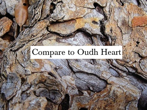 Heart Of Oudh