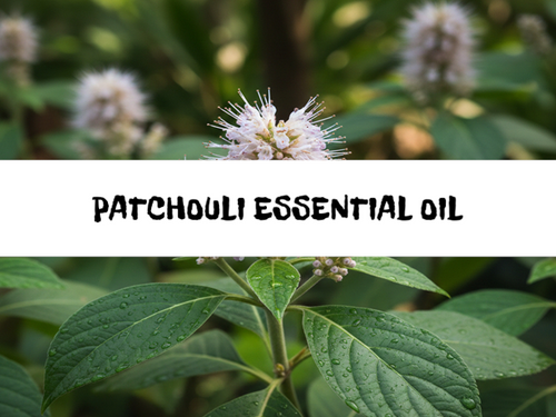 Patchouli Essential Oil, Bath Gelee, Body Wash, Whipped Soap, Glycerin Soap, Foaming Body Scrub, Sugar Scrub, Aloe Vera Gel, Body Oil, Goat Milk Lotion, Body Butter, Lotion Bar, Natural Vegetable Protein Deodorant, Body Powder, Conditioning Shampoo, Cream Shampoo, Conditioner, Hair Mask, Leave In Detangling Spray, Hair Oil, Argan Shine Serum, Argan Shine Spray, Body Mist, Perfume Oil, Perfume Spray, Solid Perfume, Beard Wash, Beard Oil, Beard Balm, Beard Butter, Shave Soap, Shave Jelly, Aftershave, Room Spray, Linen Spray, Wax Melts, Pet Shampoo, Pet Perfume