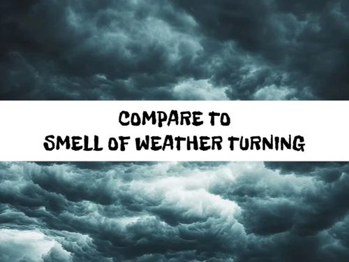 Storm Tracker, Bath Gelee, Body Wash, Whipped Soap, Glycerin Soap, Foaming Body Scrub, Sugar Scrub, Aloe Vera Gel, Body Oil, Goat Milk Lotion, Body Butter, Lotion Bar, Natural Vegetable Protein Deodorant, Body Powder, Conditioning Shampoo, Cream Shampoo, Conditioner, Hair Mask, Leave In Detangling Spray, Hair Oil, Argan Shine Serum, Argan Shine Spray, Body Mist, Perfume Oil, Perfume Spray, Solid Perfume, Beard Wash, Beard Oil, Beard Balm, Beard Butter, Shave Soap, Shave Jelly, Aftershave, Room Spray, Linen Spray, Wax Melts, Pet Shampoo, Pet Perfume