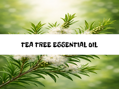 Tea Tree, Bath Gelee, Body Wash, Whipped Soap, Glycerin Soap, Foaming Body Scrub, Sugar Scrub, Aloe Vera Gel, Body Oil, Goat Milk Lotion, Body Butter, Lotion Bar, Natural Vegetable Protein Deodorant, Body Powder, Conditioning Shampoo, Cream Shampoo, Conditioner, Hair Mask, Leave In Detangling Spray, Hair Oil, Argan Shine Serum, Argan Shine Spray, Body Mist, Perfume Oil, Perfume Spray, Solid Perfume, Beard Wash, Beard Oil, Beard Balm, Beard Butter, Shave Soap, Shave Jelly, Aftershave, Room Spray, Linen Spray, Wax Melts, Pet Shampoo, Pet Perfume