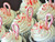 Candy Cane Cupcake, Bath Gelee, Body Wash, Whipped Soap, Glycerin Soap, Foaming Body Scrub, Sugar Scrub, Aloe Vera Gel, Body Oil, Goat Milk Lotion, Body Butter, Lotion Bar, Natural Vegetable Protein Deodorant, Body Powder, Conditioning Shampoo, Cream Shampoo, Conditioner, Hair Mask, Leave In Detangling Spray, Hair Oil, Argan Shine Serum, Argan Shine Spray, Body Mist, Perfume Oil, Perfume Spray, Solid Perfume, Beard Wash, Beard Oil, Beard Balm, Beard Butter, Shave Soap, Shave Jelly, Aftershave, Room Spray, Linen Spray, Wax Melts, Pet Shampoo, Pet Perfume