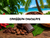Caribbean Chocolate, Bath Gelee, Body Wash, Whipped Soap, Glycerin Soap, Foaming Body Scrub, Sugar Scrub, Aloe Vera Gel, Body Oil, Goat Milk Lotion, Body Butter, Lotion Bar, Natural Vegetable Protein Deodorant, Body Powder, Conditioning Shampoo, Cream Shampoo, Conditioner, Hair Mask, Leave In Detangling Spray, Hair Oil, Argan Shine Serum, Argan Shine Spray, Body Mist, Perfume Oil, Perfume Spray, Solid Perfume, Beard Wash, Beard Oil, Beard Balm, Beard Butter, Shave Soap, Shave Jelly, Aftershave, Room Spray, Linen Spray, Wax Melts, Pet Shampoo, Pet Perfume
