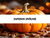 Pumpkin Praline, Bath Gelee, Body Wash, Whipped Soap, Glycerin Soap, Foaming Body Scrub, Sugar Scrub, Aloe Vera Gel, Body Oil, Goat Milk Lotion, Body Butter, Lotion Bar, Natural Vegetable Protein Deodorant, Body Powder, Conditioning Shampoo, Cream Shampoo, Conditioner, Hair Mask, Leave In Detangling Spray, Hair Oil, Argan Shine Serum, Argan Shine Spray, Body Mist, Perfume Oil, Perfume Spray, Solid Perfume, Beard Wash, Beard Oil, Beard Balm, Beard Butter, Shave Soap, Shave Jelly, Aftershave, Room Spray, Linen Spray, Wax Melts, Pet Shampoo, Pet Perfume