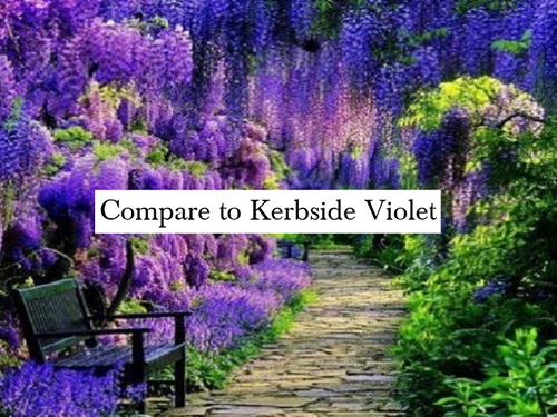 Violet Path CakeAndBarrel