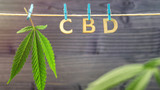 What is CBD and How Does it Work?