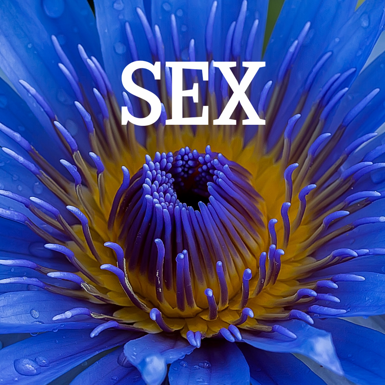 Blue Lotus, Sex and You!