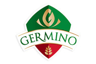 Gemino