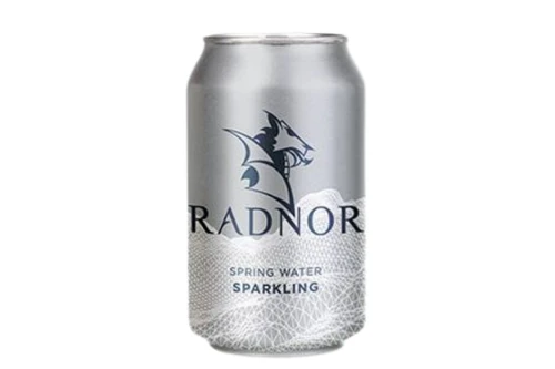 Radnor - Sparkling Spring Water - 330ml