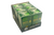 Box of Ridgways of London - Pure Green & Lemon - 20 Envelope Tea Bags x 6