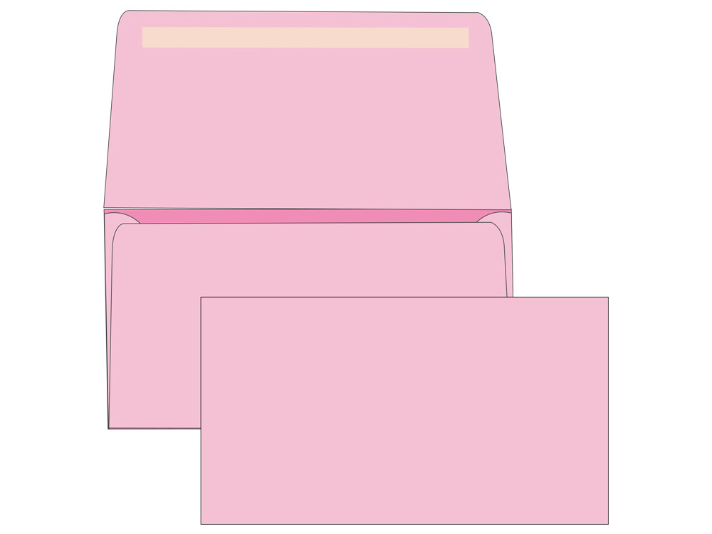  6 3/4 Blank Remittance Envelopes Colored Remittance Envelopes