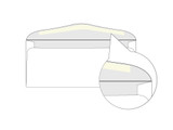 Custom #9 Window Envelopes - EN1041