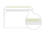 PRINTED - Custom Booklet Envelopes 9x12 - EN1027